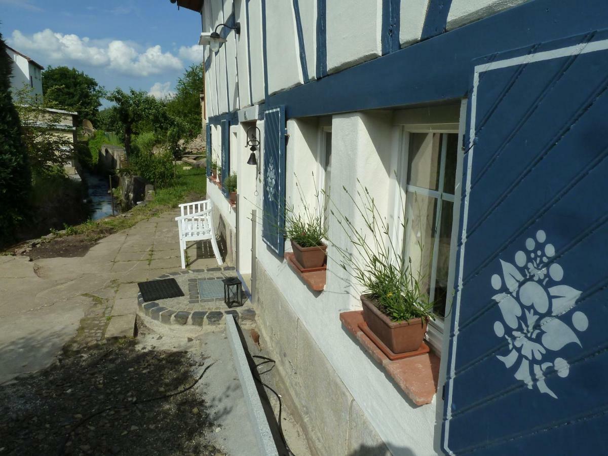 Goldbachhaeuschen Villa Olbersdorf Exteriör bild
